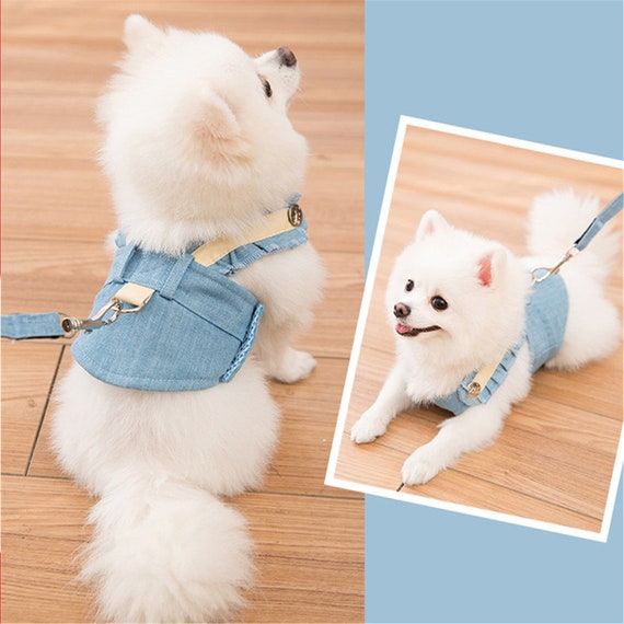 dog harness leash set