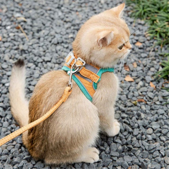 breakaway cat harness