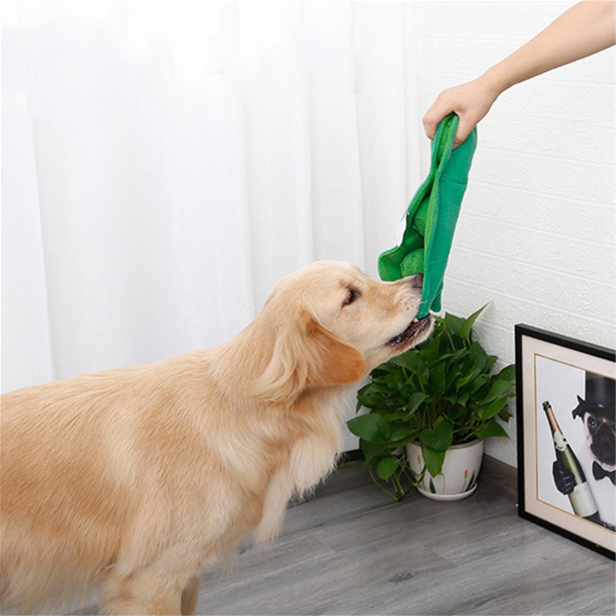 Haustier Snuffle Futtermatte Hund Lern slow Feeder Treat Etsy