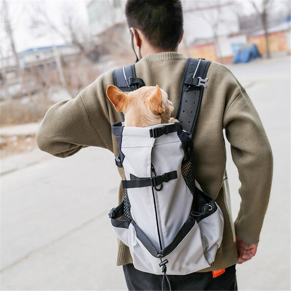 medium sized dog backpack carrier