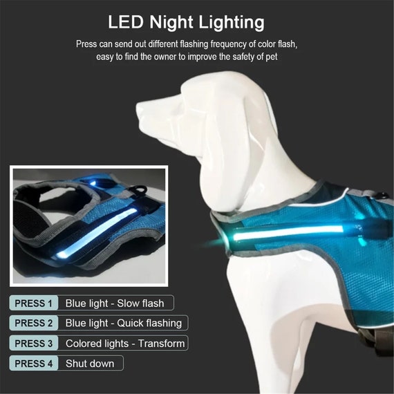 chest led dog harness