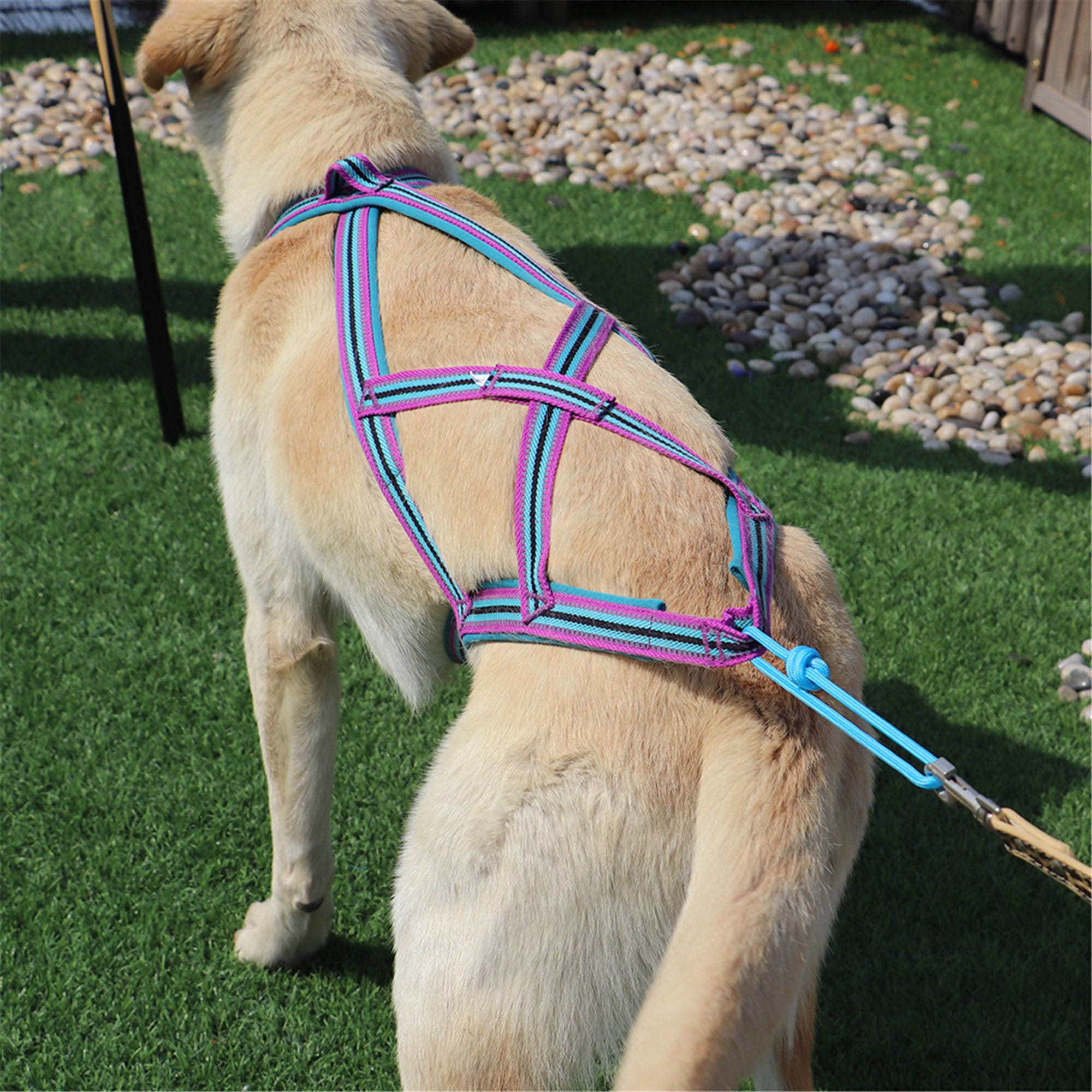 Reflective Dog Weight Pulling Harness Soft Padded Nylon Dogs Etsy