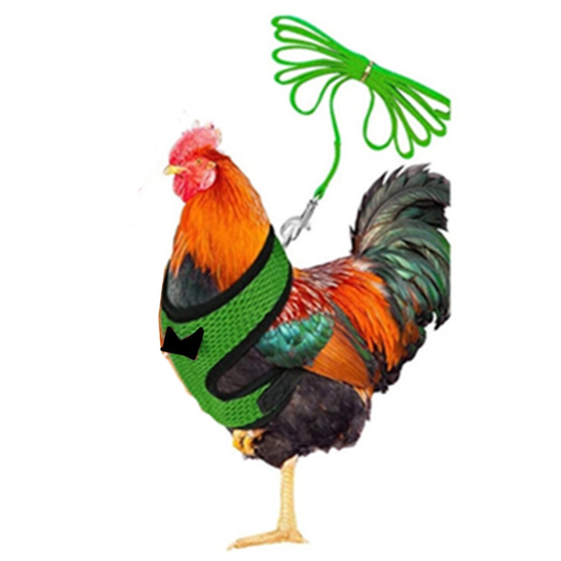 Adjustable Chicken Harness Leash Comfortable and Breathable Etsy