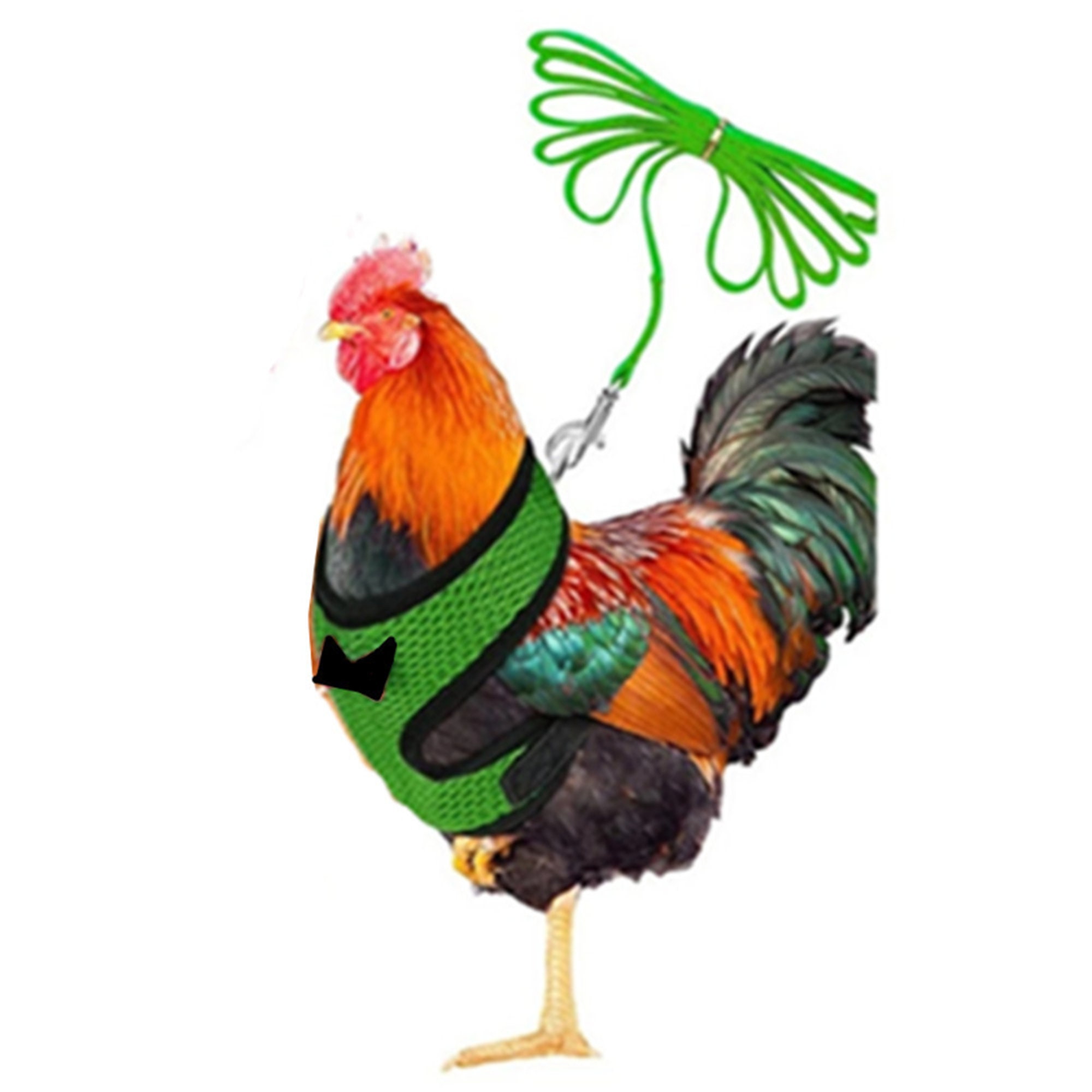 Adjustable Chicken Harness Leash Comfortable and Breathable Etsy UK