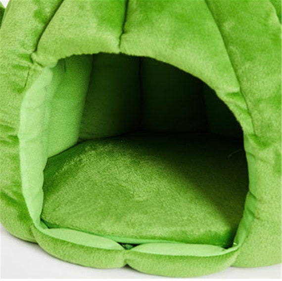 cactus dog bed