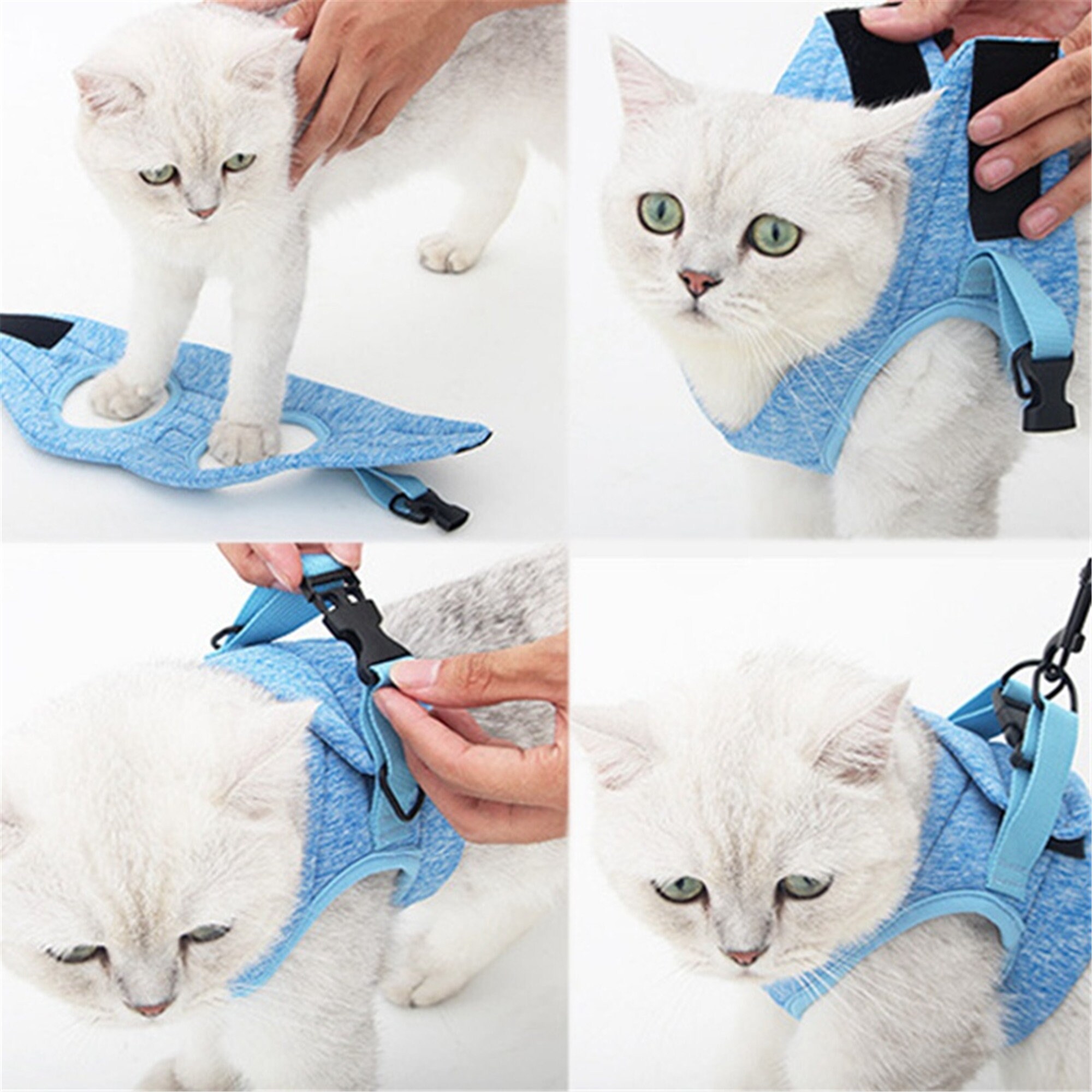 dog harness for cat