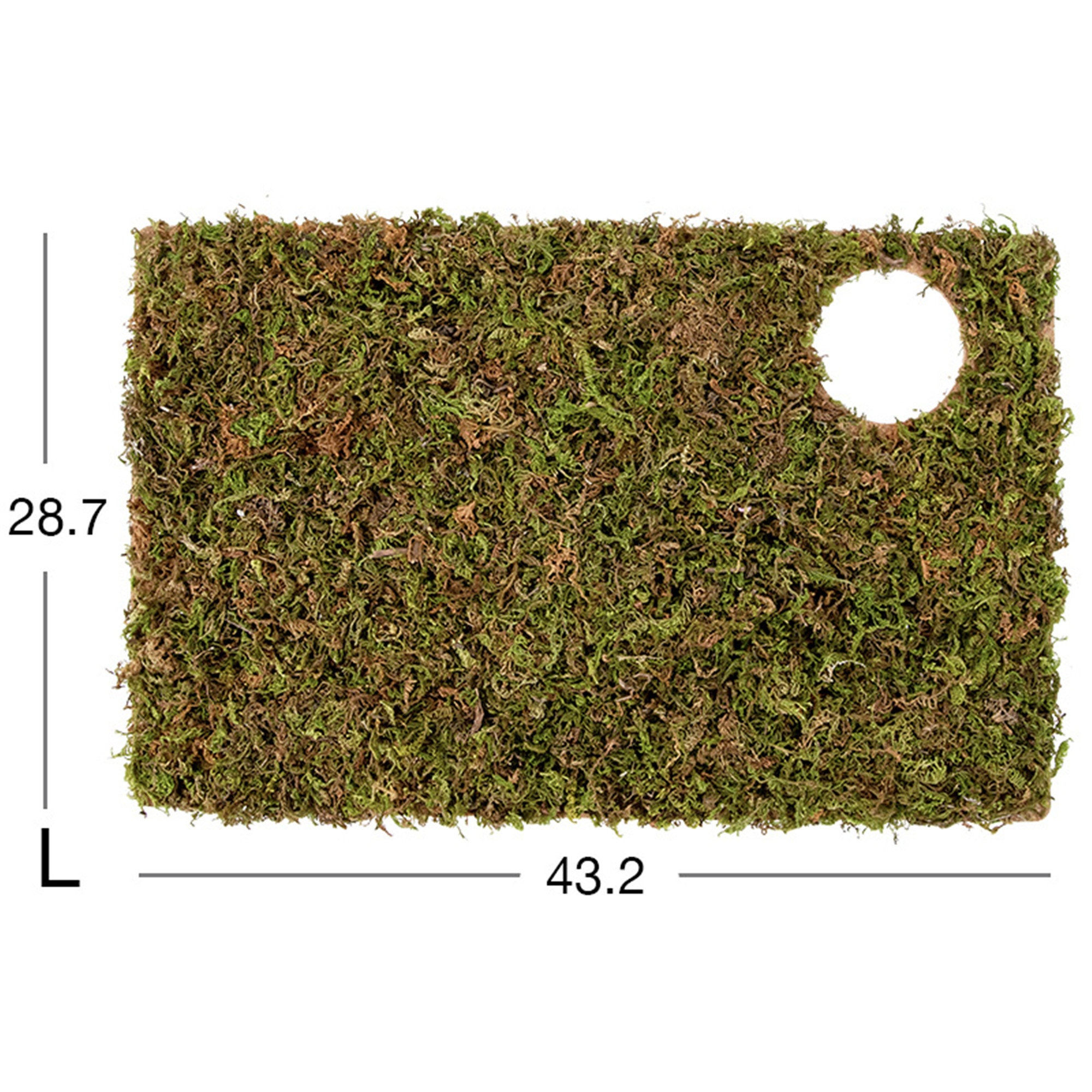 Natural Moss Mat Hamster Multiroom Moss Terrace Hamster Cage Etsy Canada