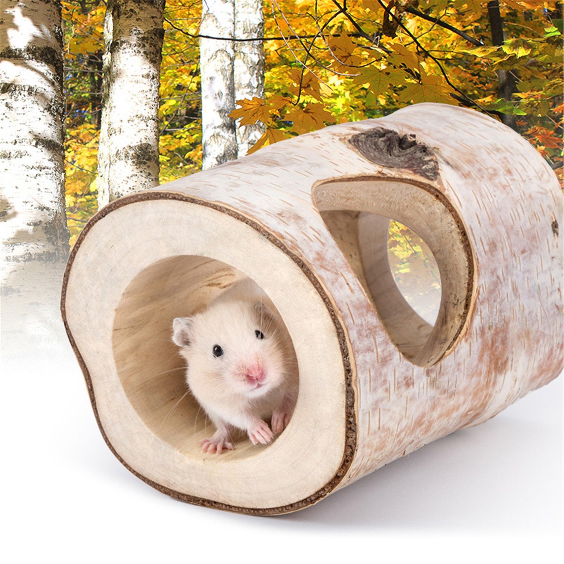 Hamster Landscaping Natural Birch Tree Hole Trunk Tunnel Small Etsy