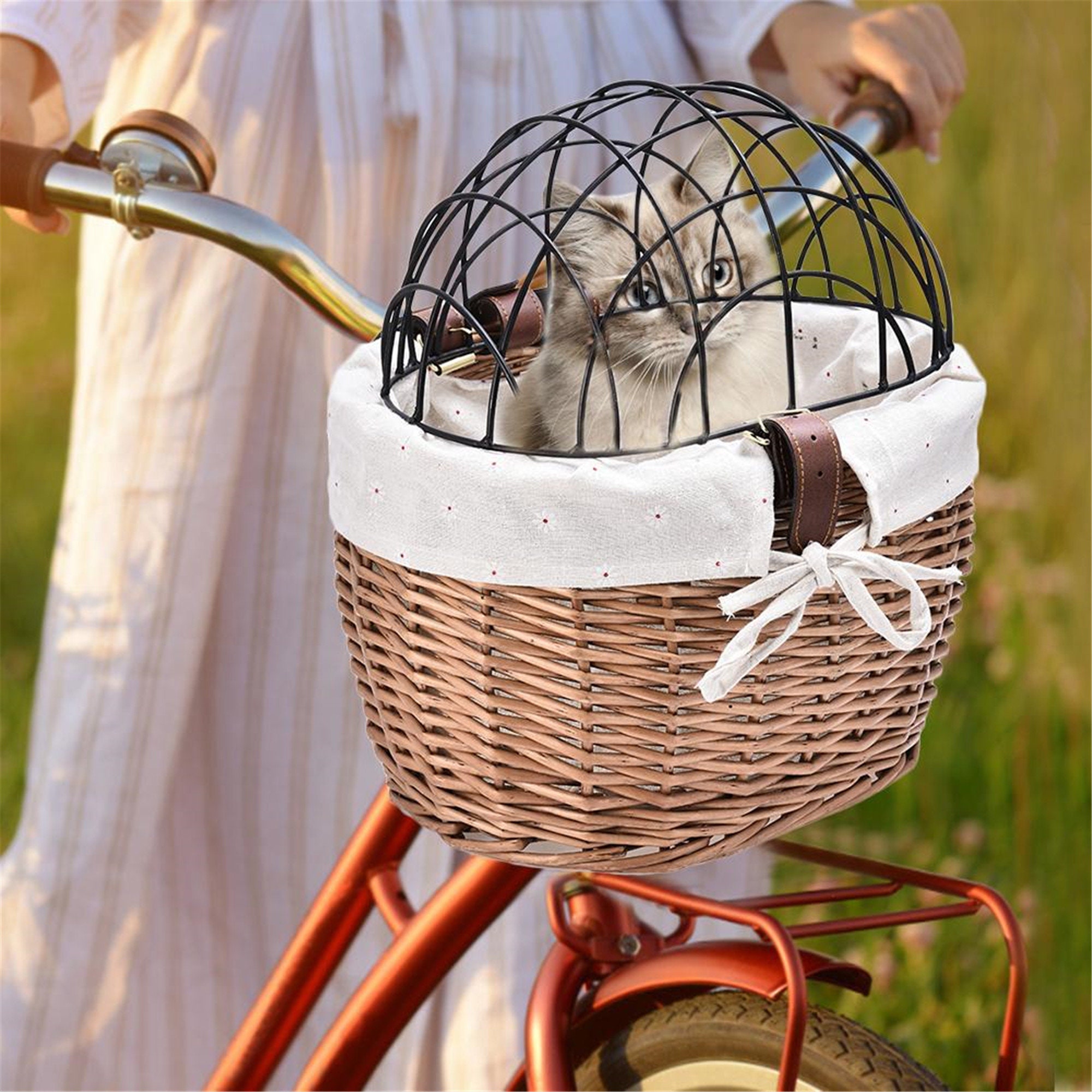 cat bicycle carrier