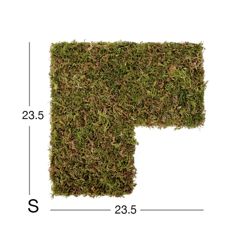 Natural Moss Mat Hamster Multiroom Moss Terrace Hamster Cage Etsy