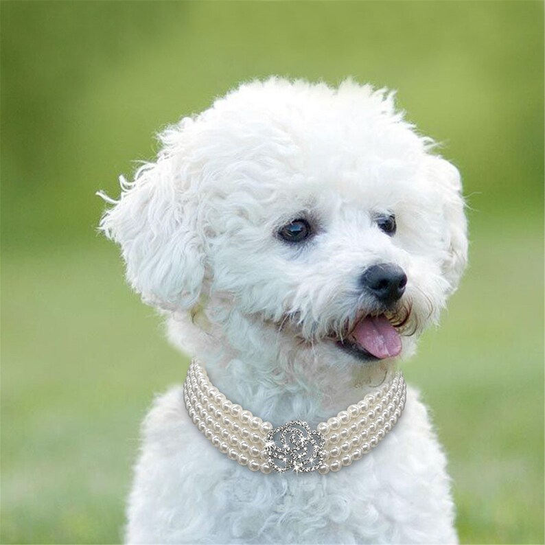 Pearl Dog Necklace Collar Fashion Jeweled Puppy Cat Collar - Etsy