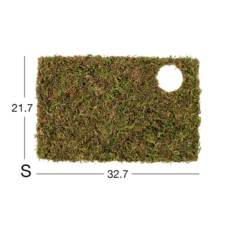 Natural Moss Mat Hamster Multiroom Moss Terrace Hamster Cage Etsy Canada