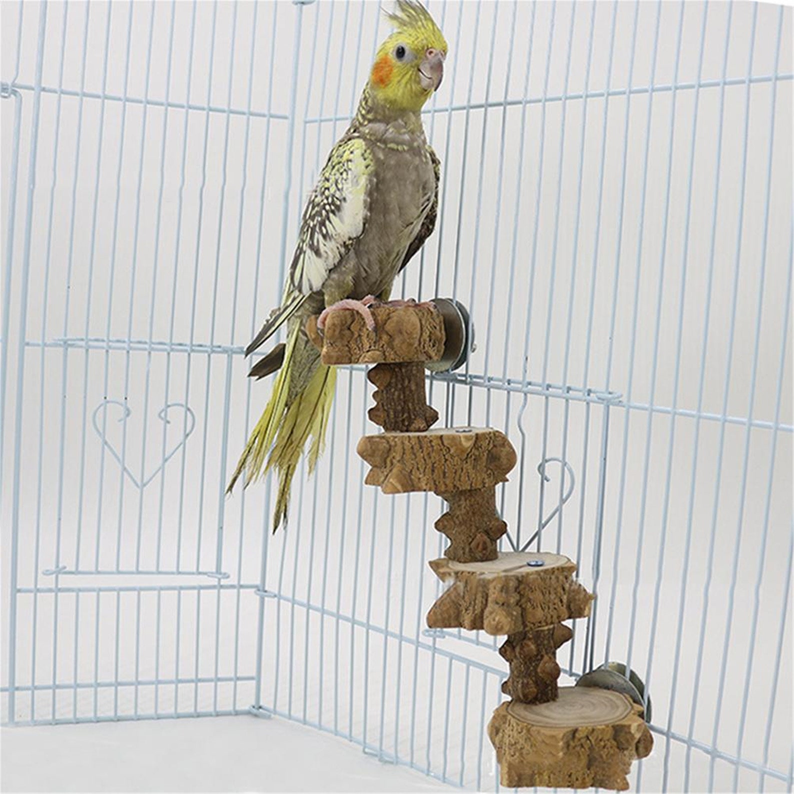 Parrot Springboard Climbing Ladder Hamster Wooden Pier Ladder Etsy