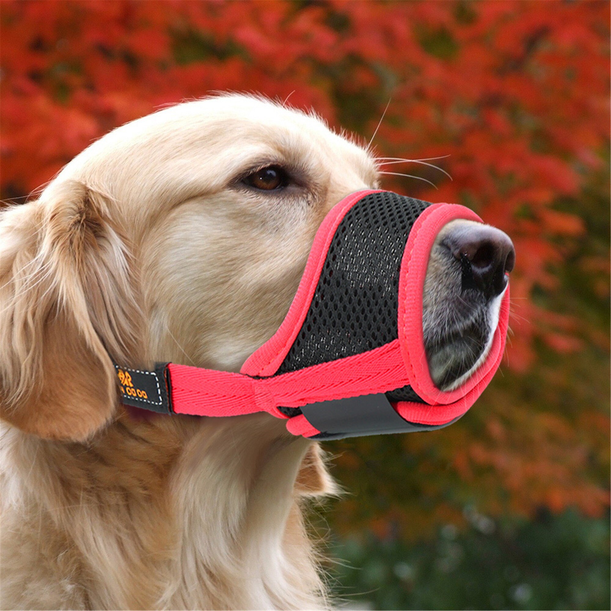 Breathable Dog Muzzle NO Bite Pet Muzzle Mesh Muzzles Mask for Etsy