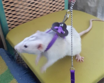 dwarf hamster leash