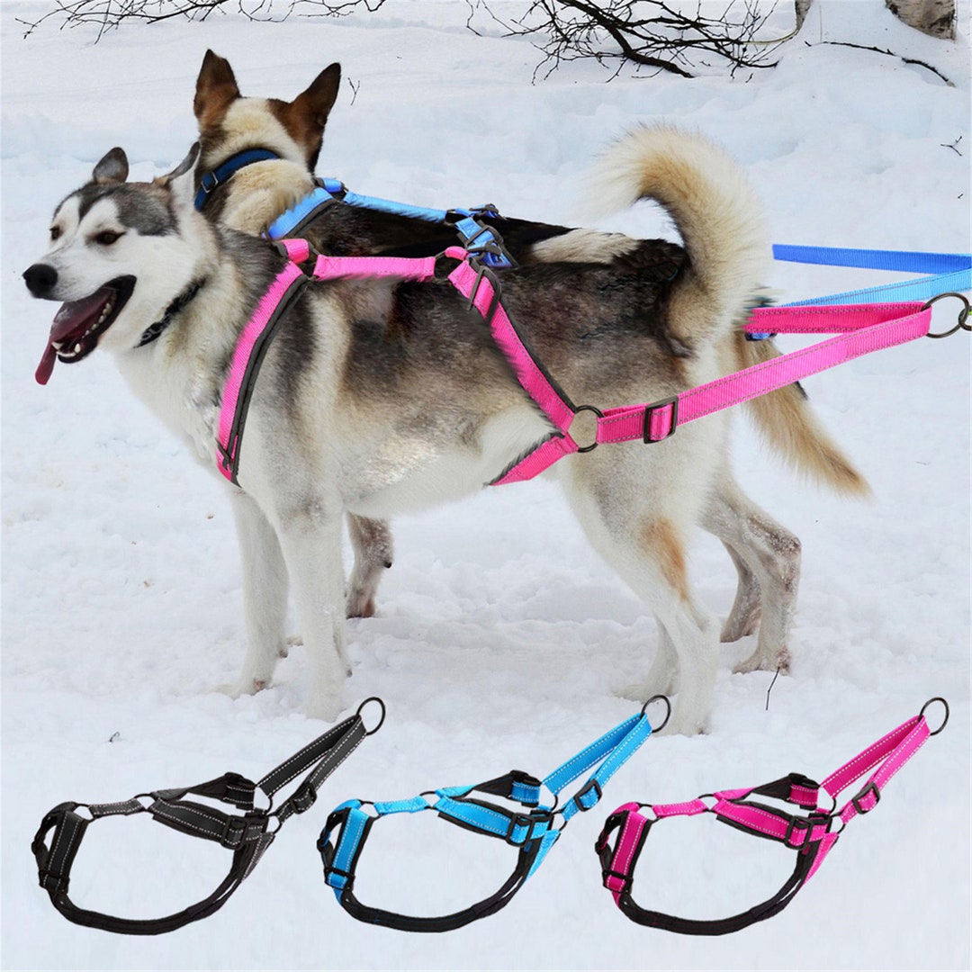 Reflective Dog Sledding Harness Waterproof Dog Sled Harness Etsy