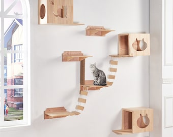 cat wall climber