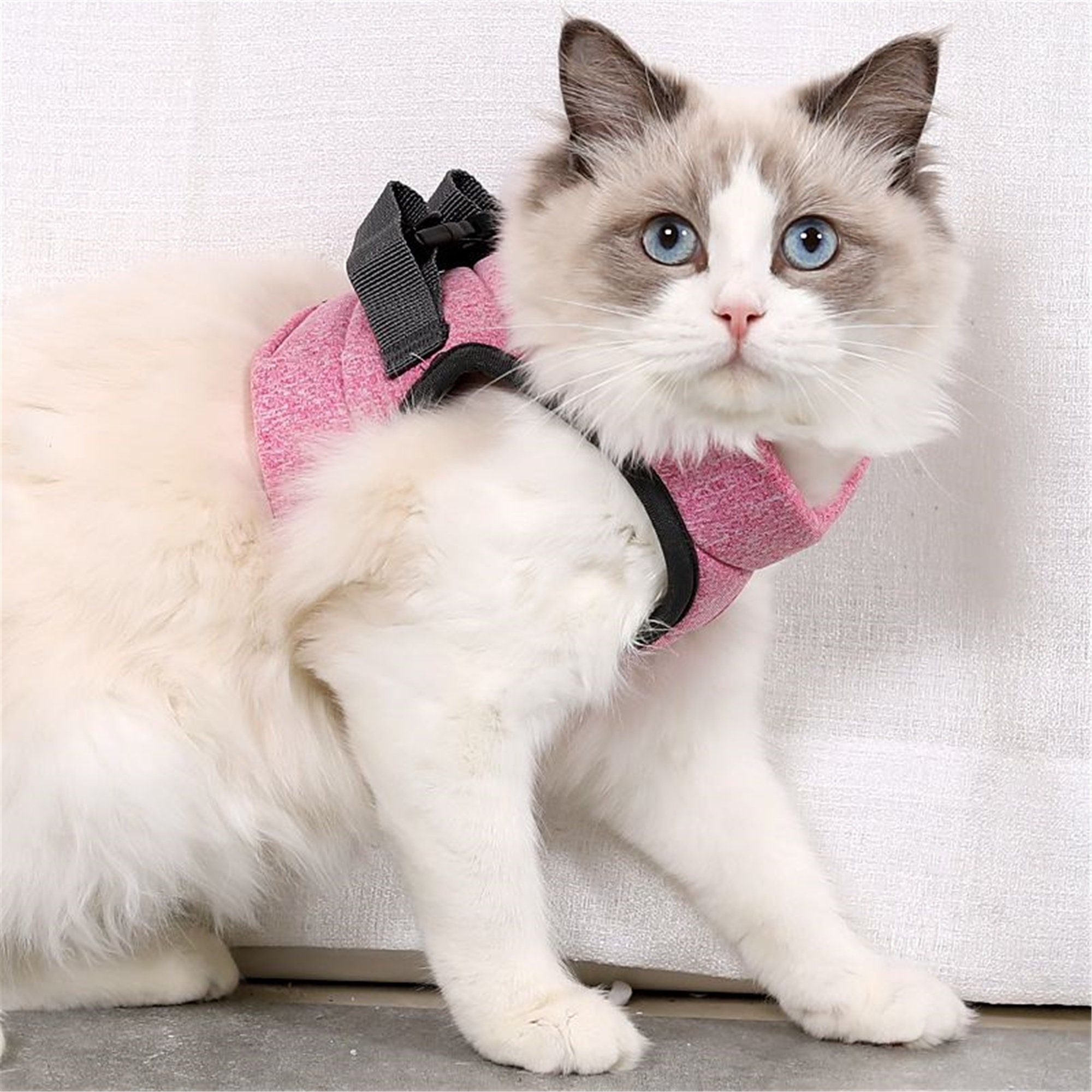 Large Cats Outdoor Walking Cat Harness and Leash Set Pink Color, S Size Escape Proof Adjustable Soft Cat Puppy Vest Breathable with Reflective Strips Medium Easy Control Cat Jacket for Small 