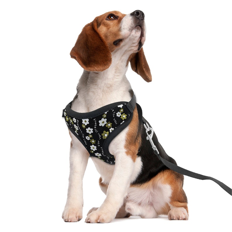 Cute Cat Harness and Leash Set Mesh Kitten Puppy Vest Etsy