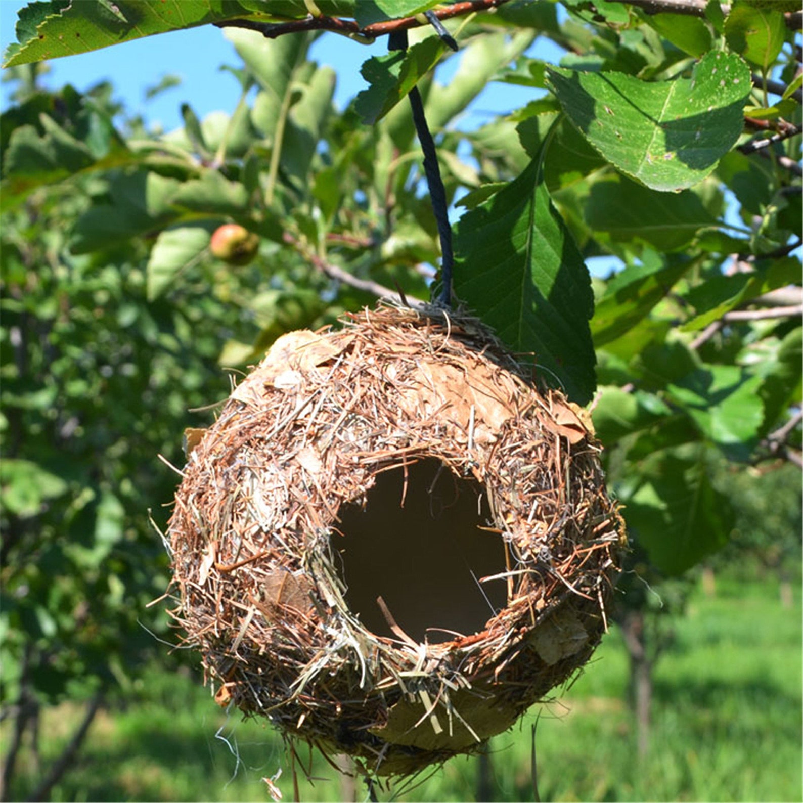 Natural Grass Bird Nest Hummingbird Birdhouse for Outside Etsy Canada