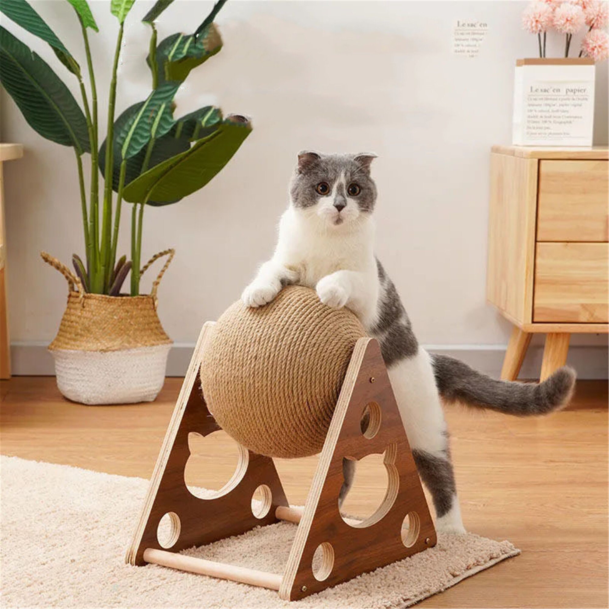 unique cat products