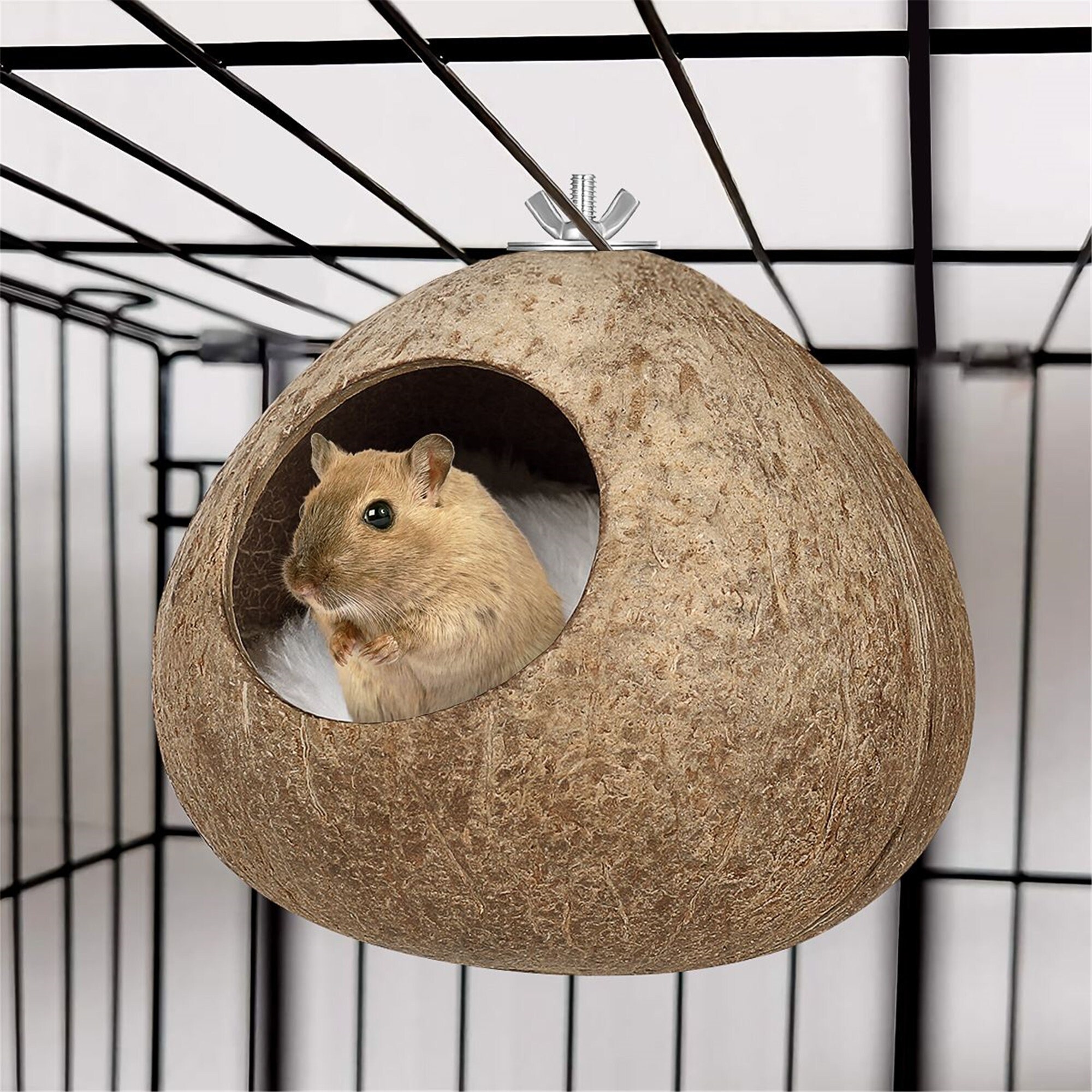 coconut hamster house