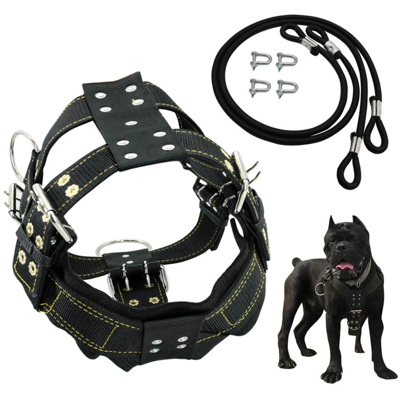 large dog training harness