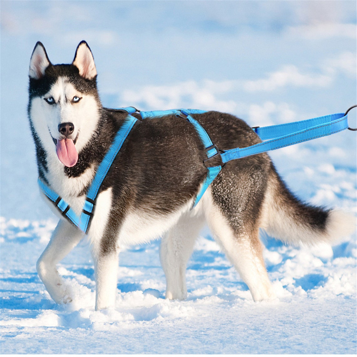 Reflective Dog Sledding Harness Waterproof Dog Sled Harness Etsy