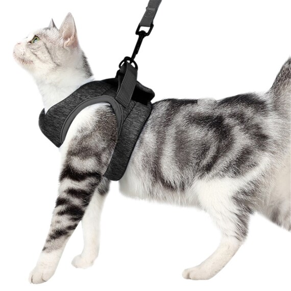 Cat Harness Small Cat and Dog Vest Harness With Reflective Etsy