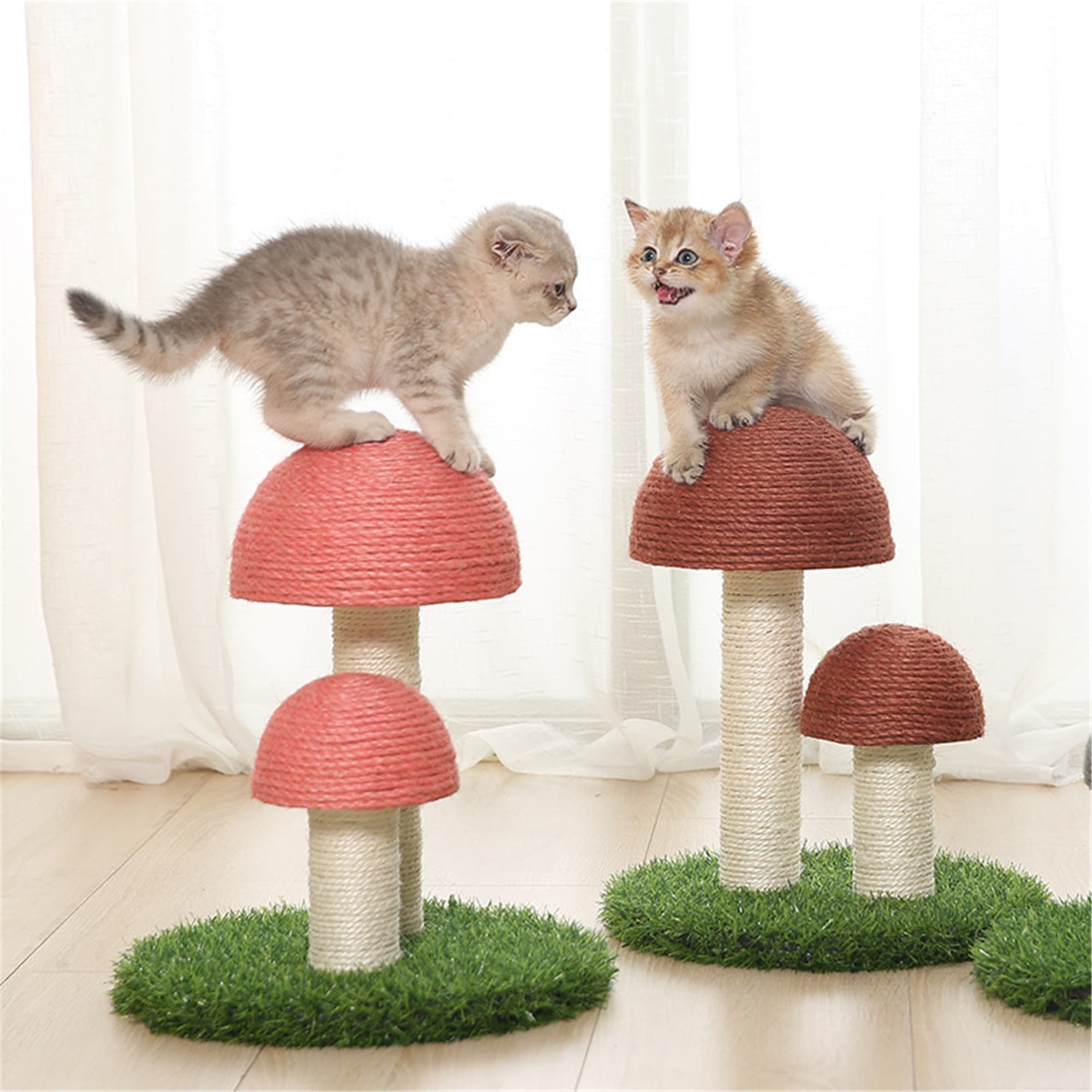 Mushroom Claw Scratcher Small Cat Tree House Traning Interactive Toys for Indoor Kittens Cats Sasapet Cat Scratching Post 