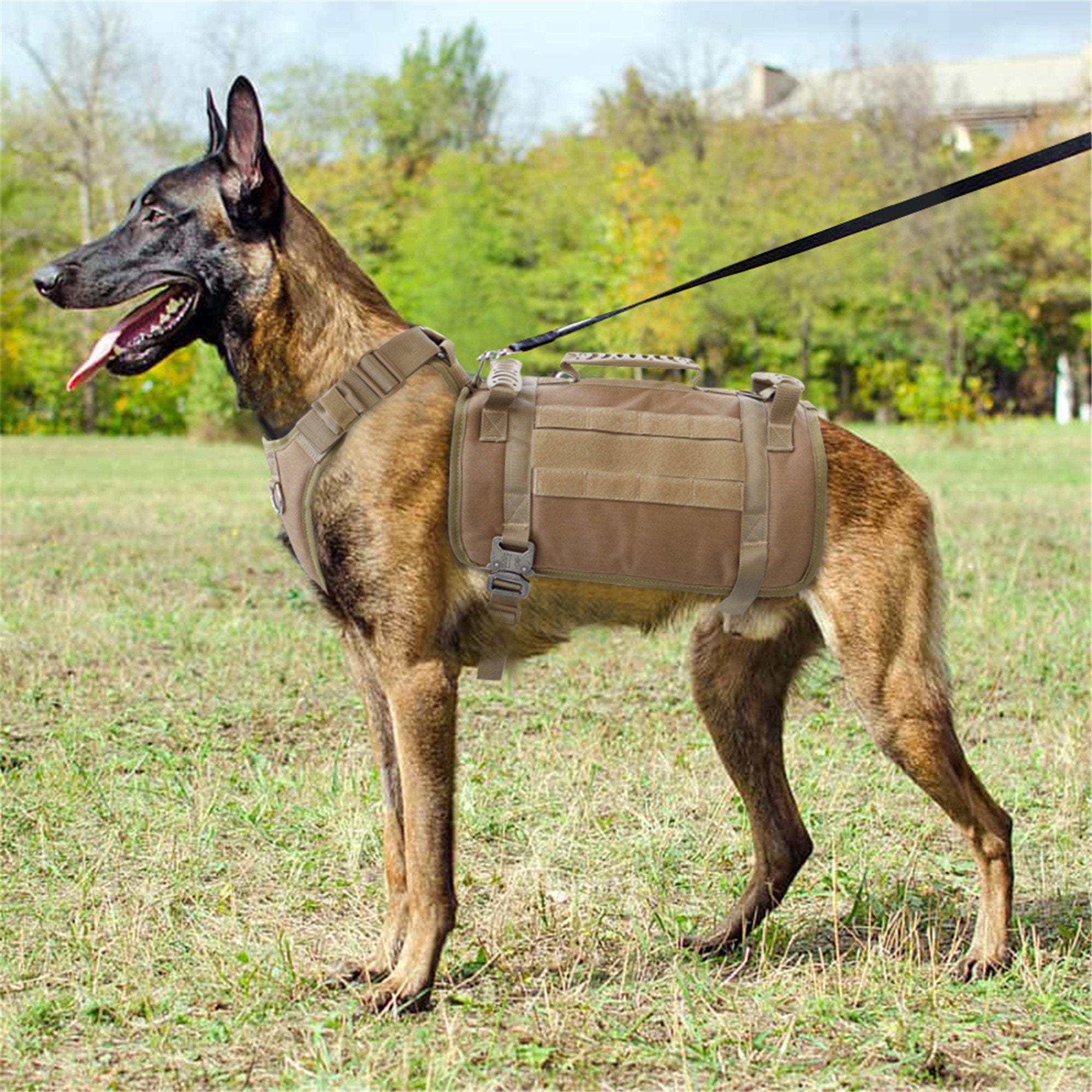 dog vest with holster
