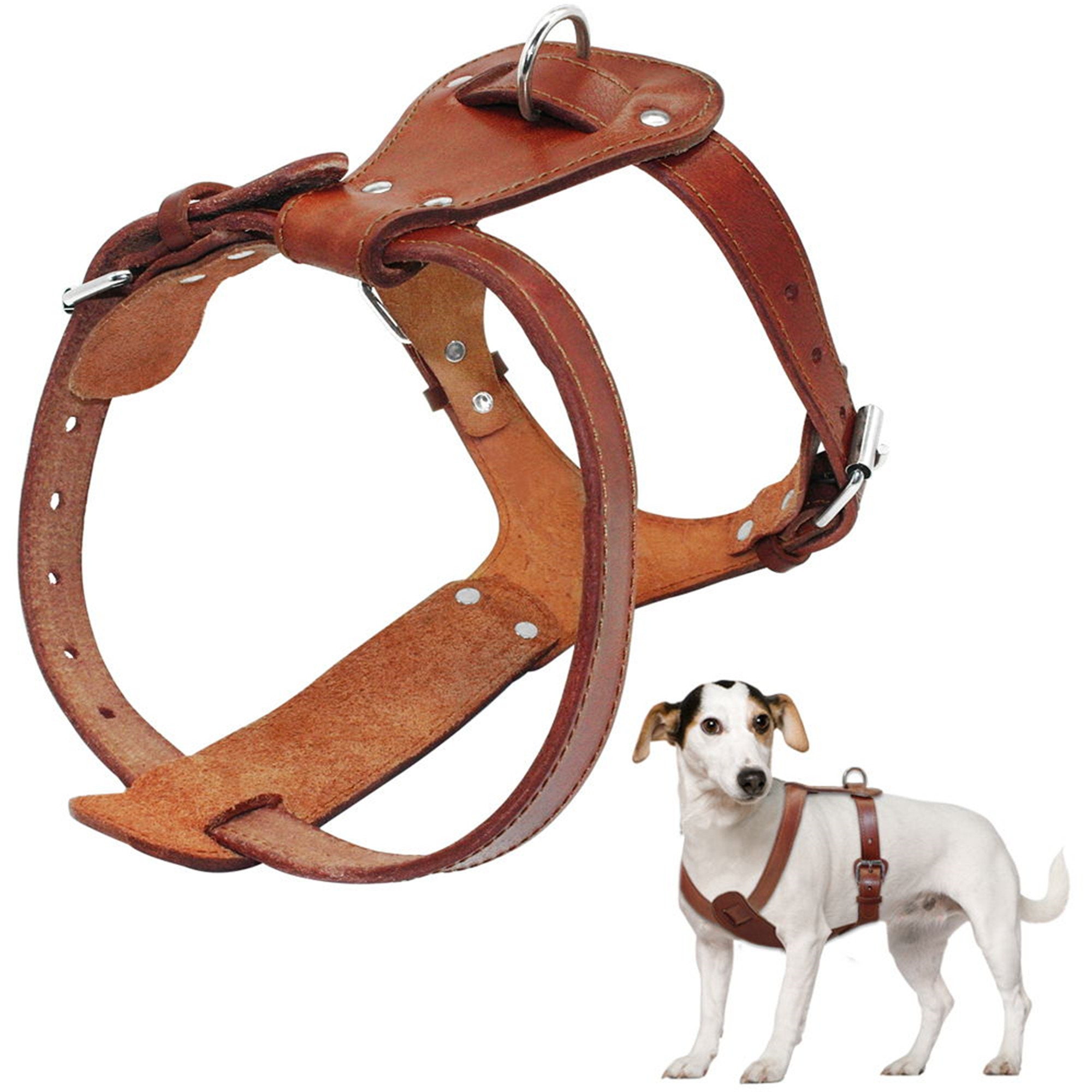 medium leather dog harness
