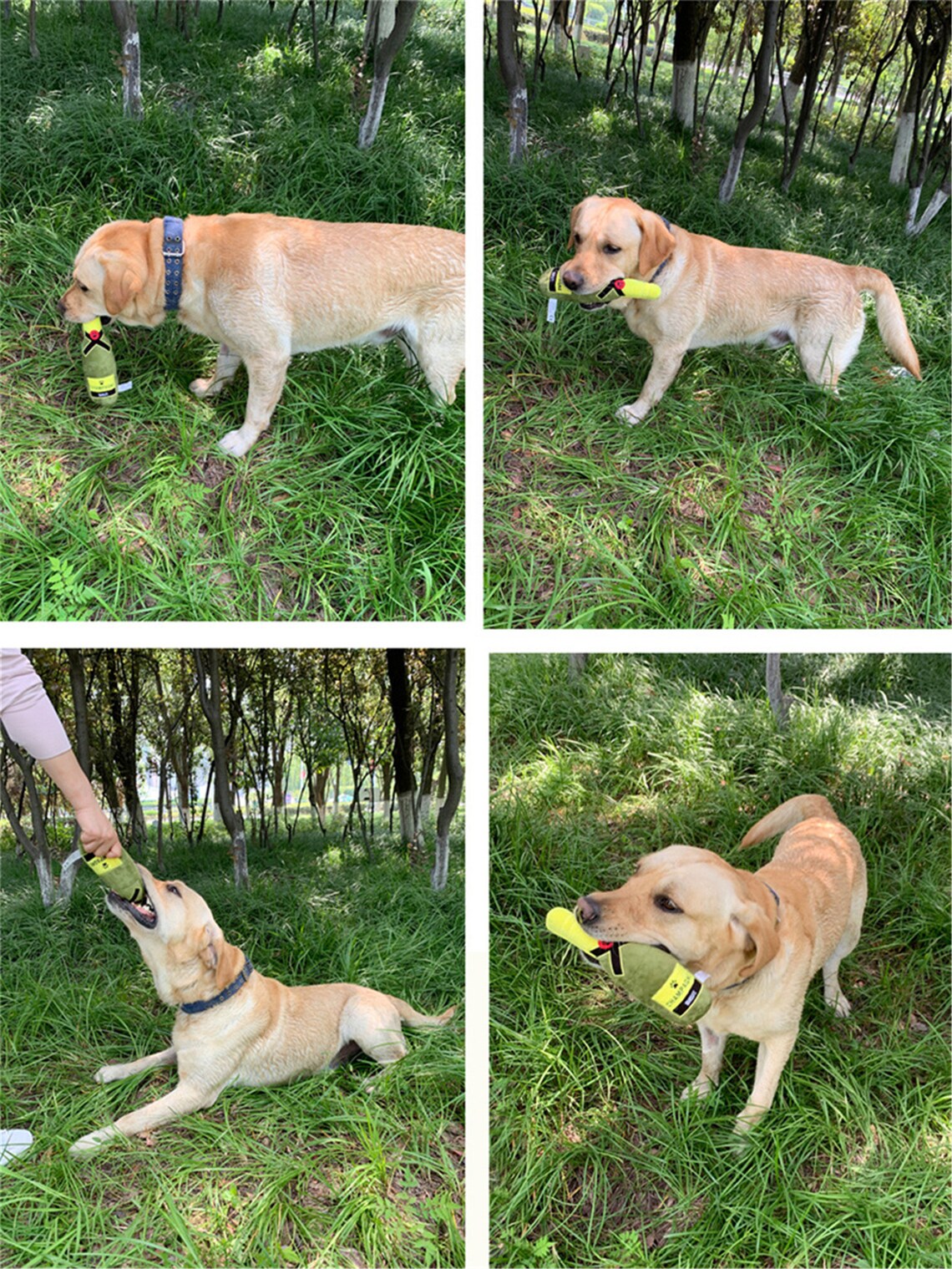 Creative Dog Toys Plush Filled Champagne Wine Bottle Shape Toy Etsy