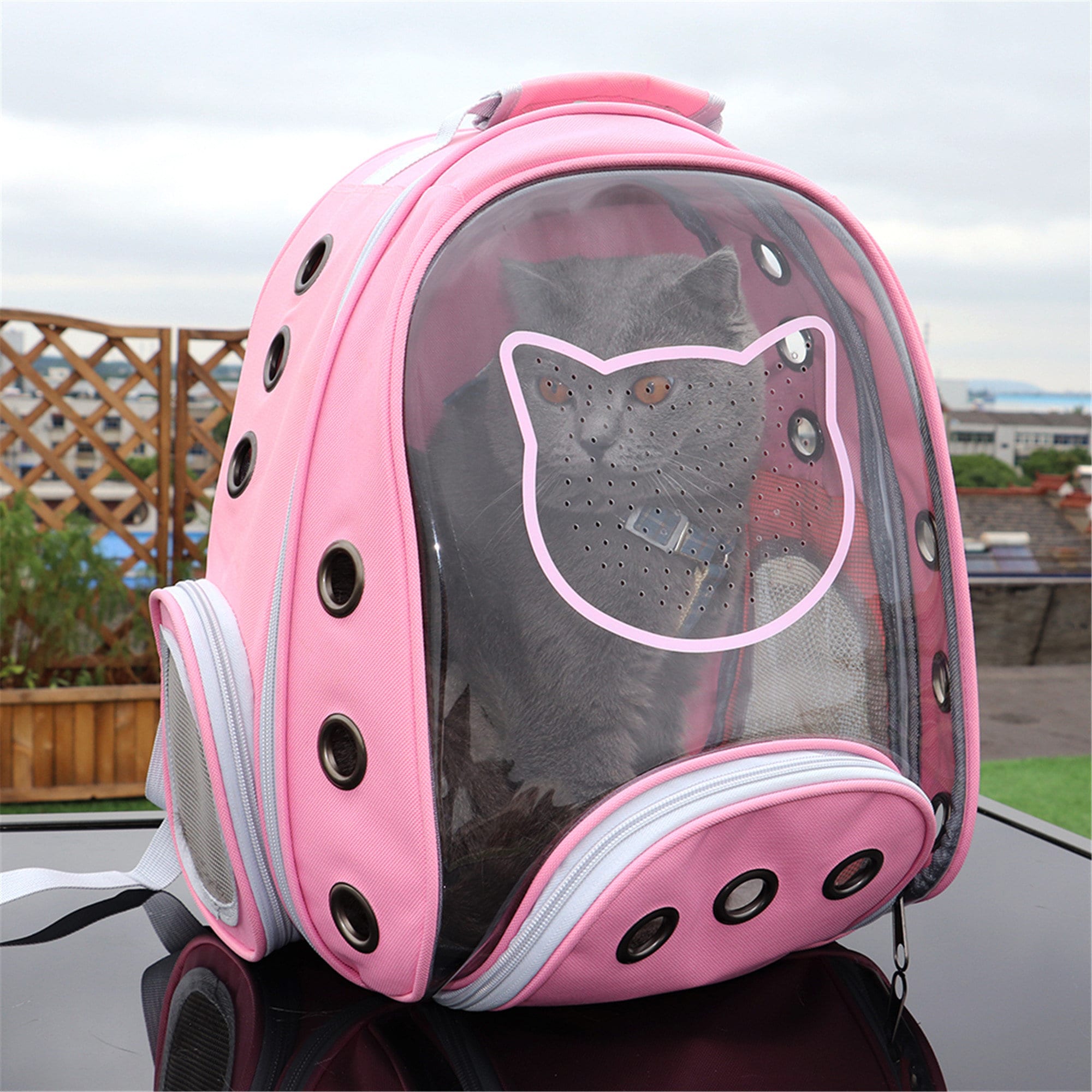 cats travel bag