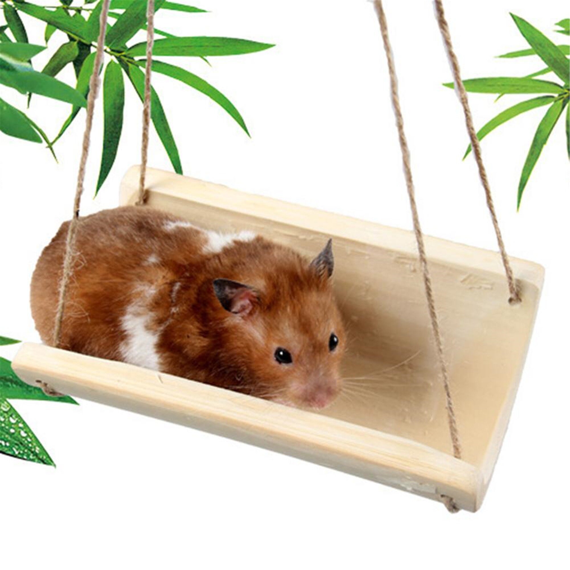 Bamboo Rat Hamster Small Pet Hanging Swing Cool Hammock Cage Etsy