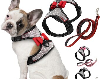 fancy small dog harness