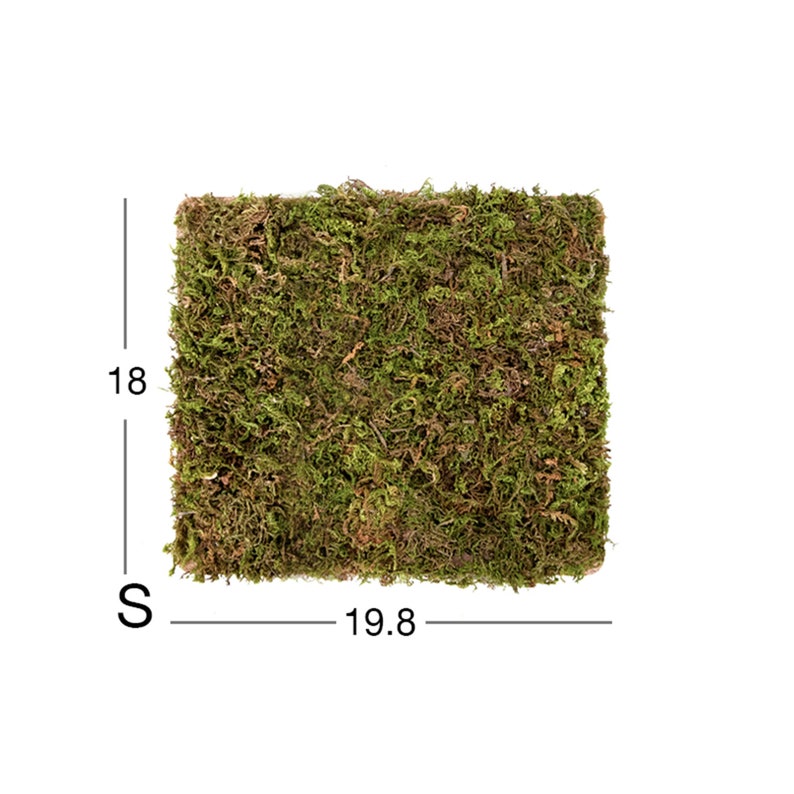 Natural Moss Mat Hamster Multiroom Moss Terrace Hamster Cage Etsy