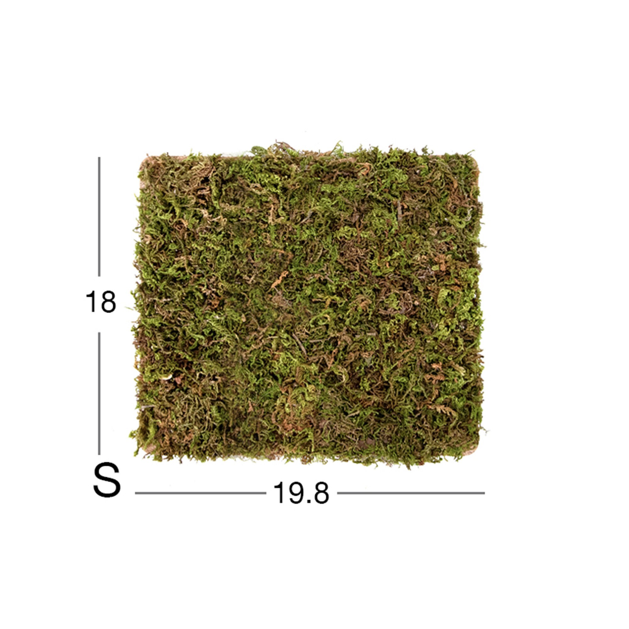 Natural Moss Mat Hamster Multiroom Moss Terrace Hamster Cage Etsy Canada