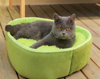fruit pie cat bed