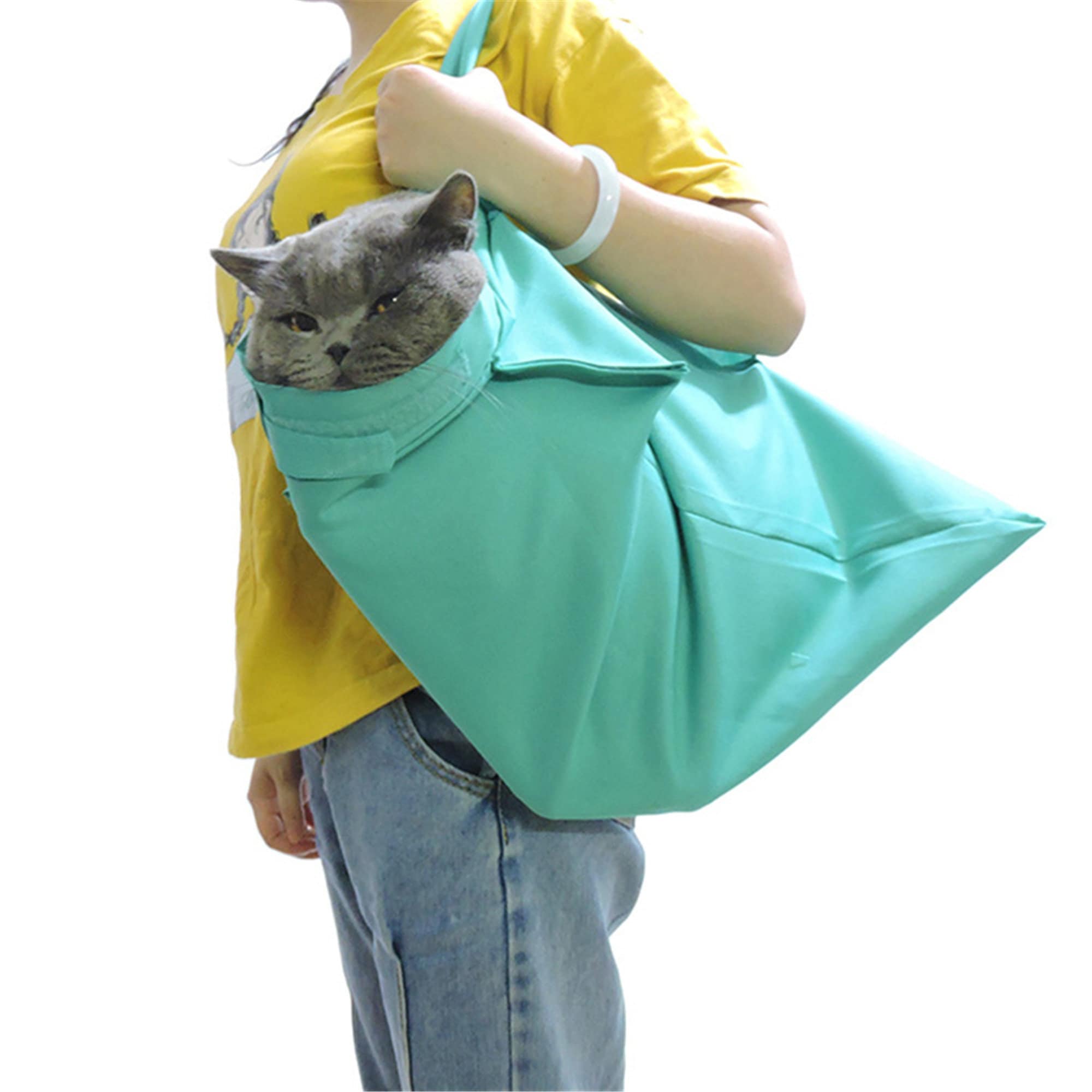 cat travel carry bag