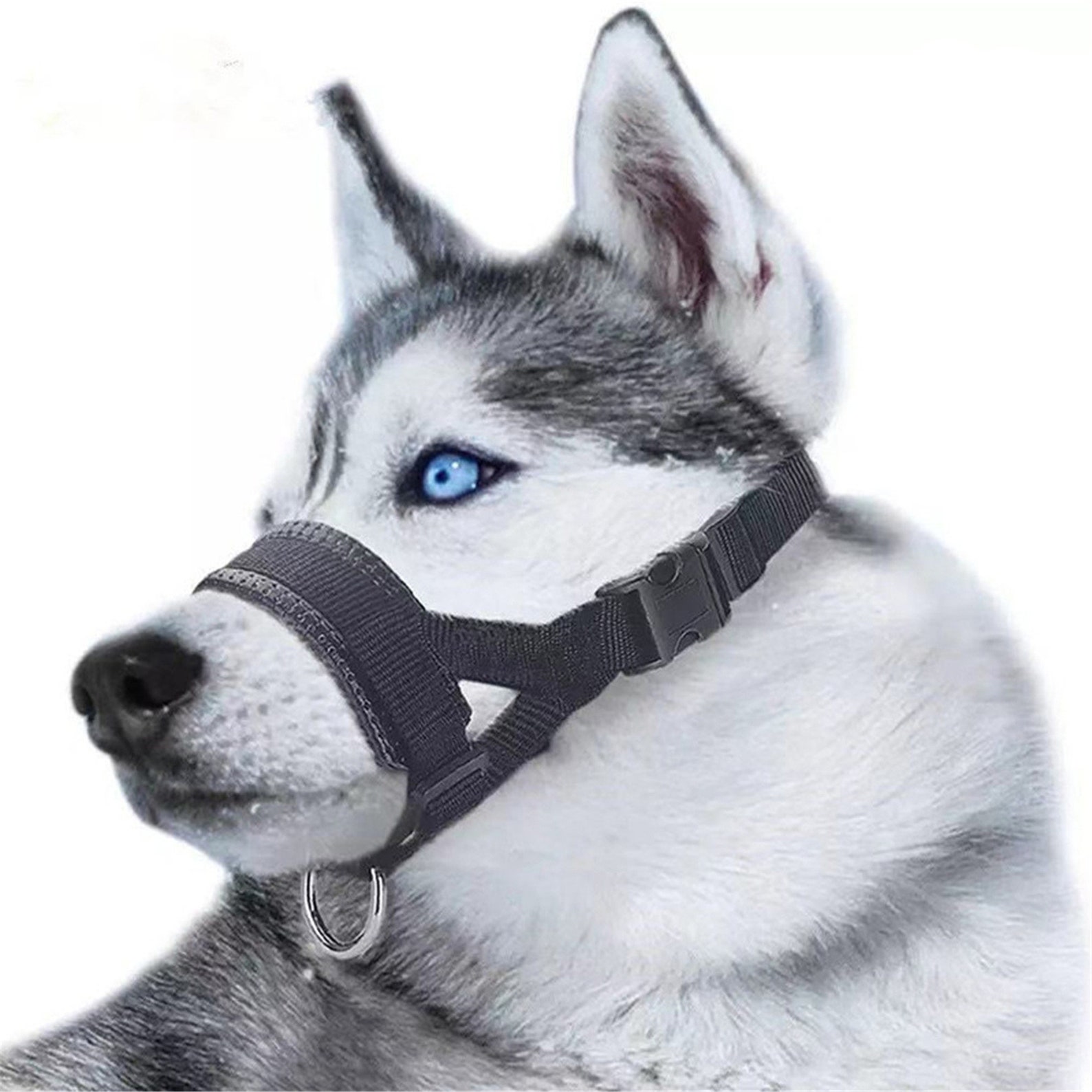 Anti Bite Barking Chewing Sleeve Pet Dog Muzzle Collar Mouth Etsy