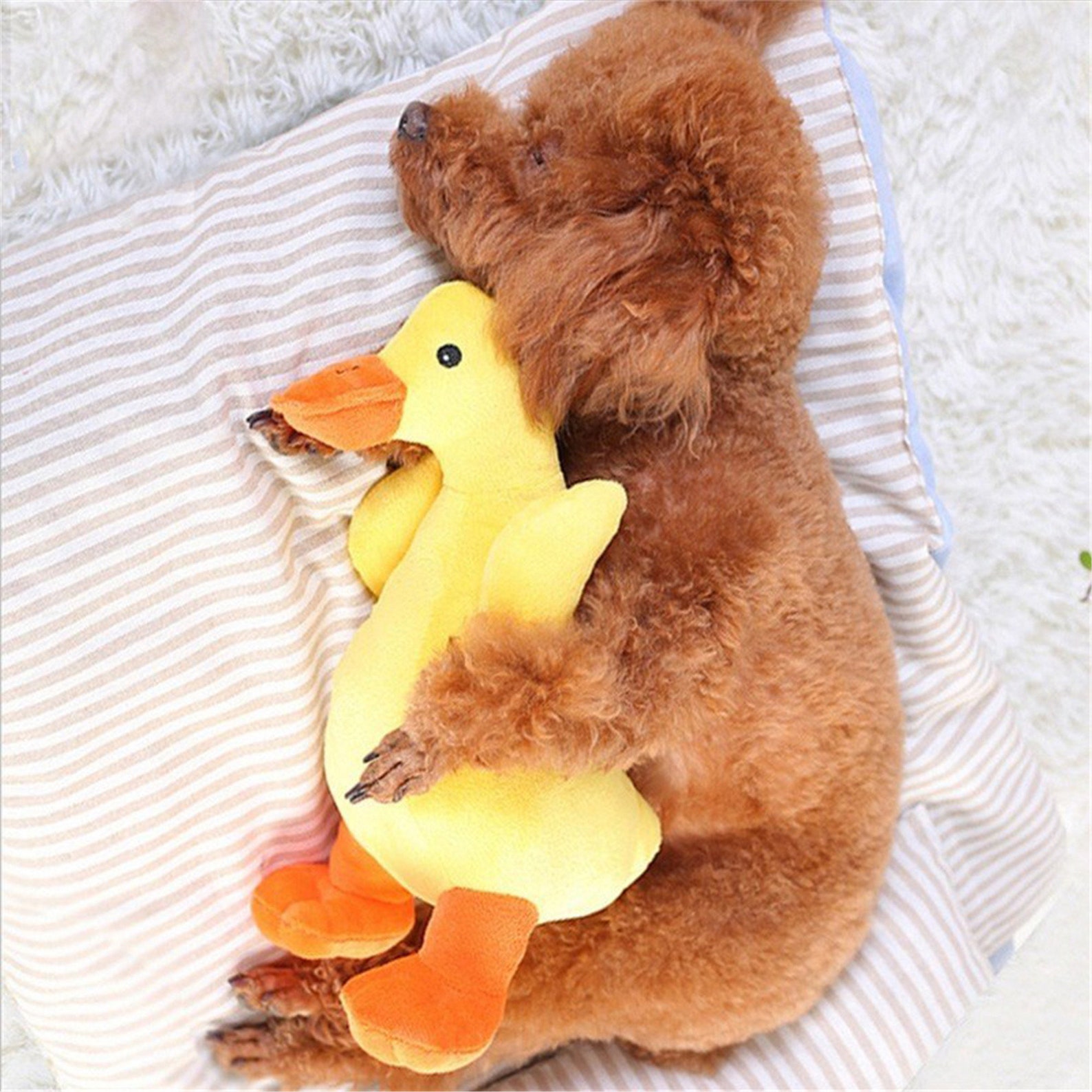 Dog Toy Voice Plush Toy Yellow Duck Training Playing Sniffing Etsy UK