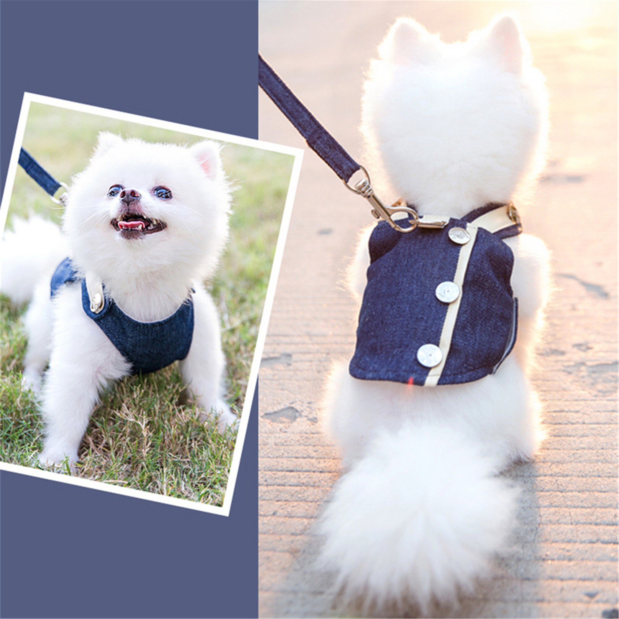 Chewing Dogior Oblique Bag & Leash