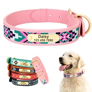exotic dog collars