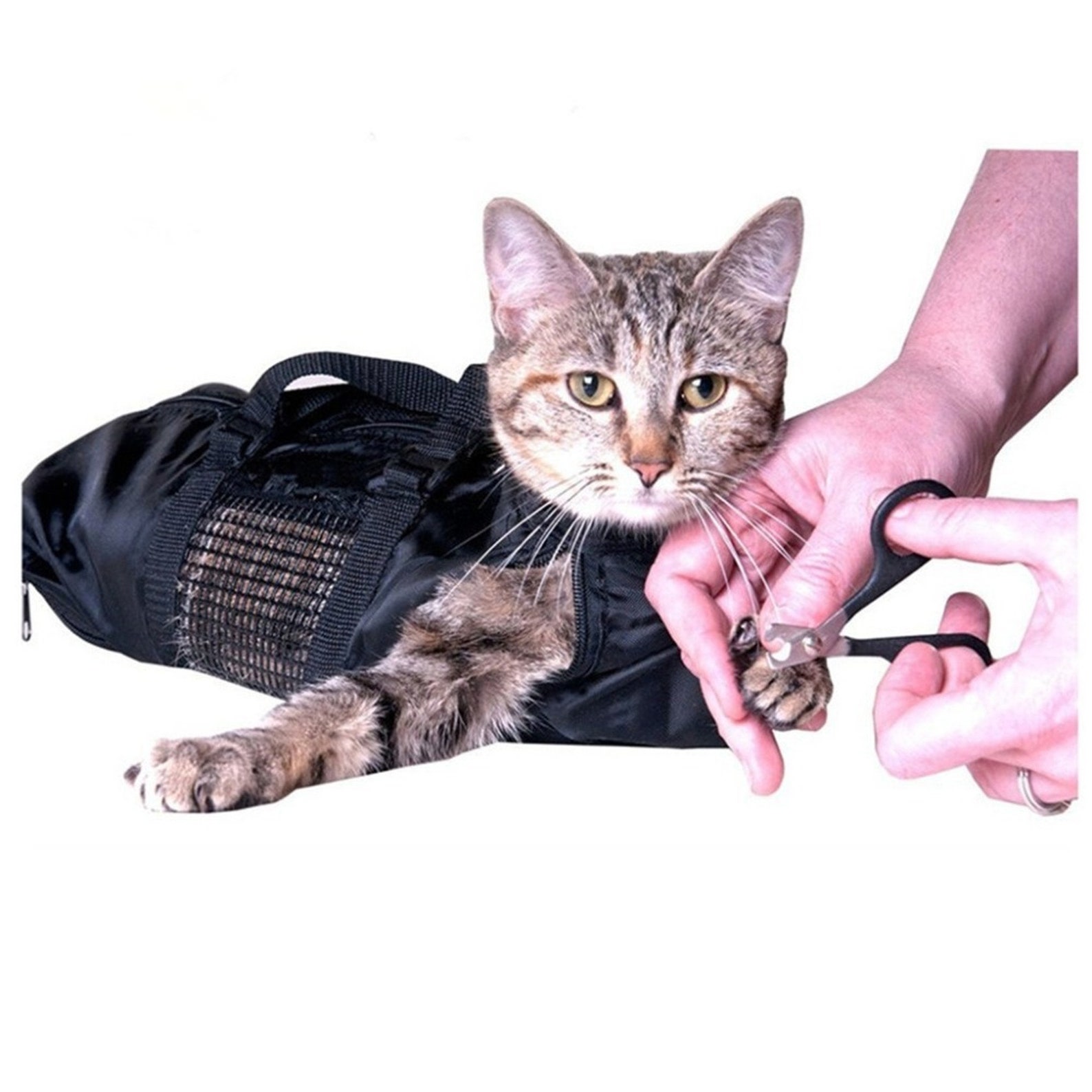 Сумка для стрижки когтей кошек