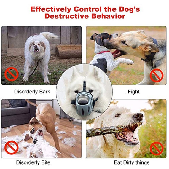 basket muzzle with stool guard