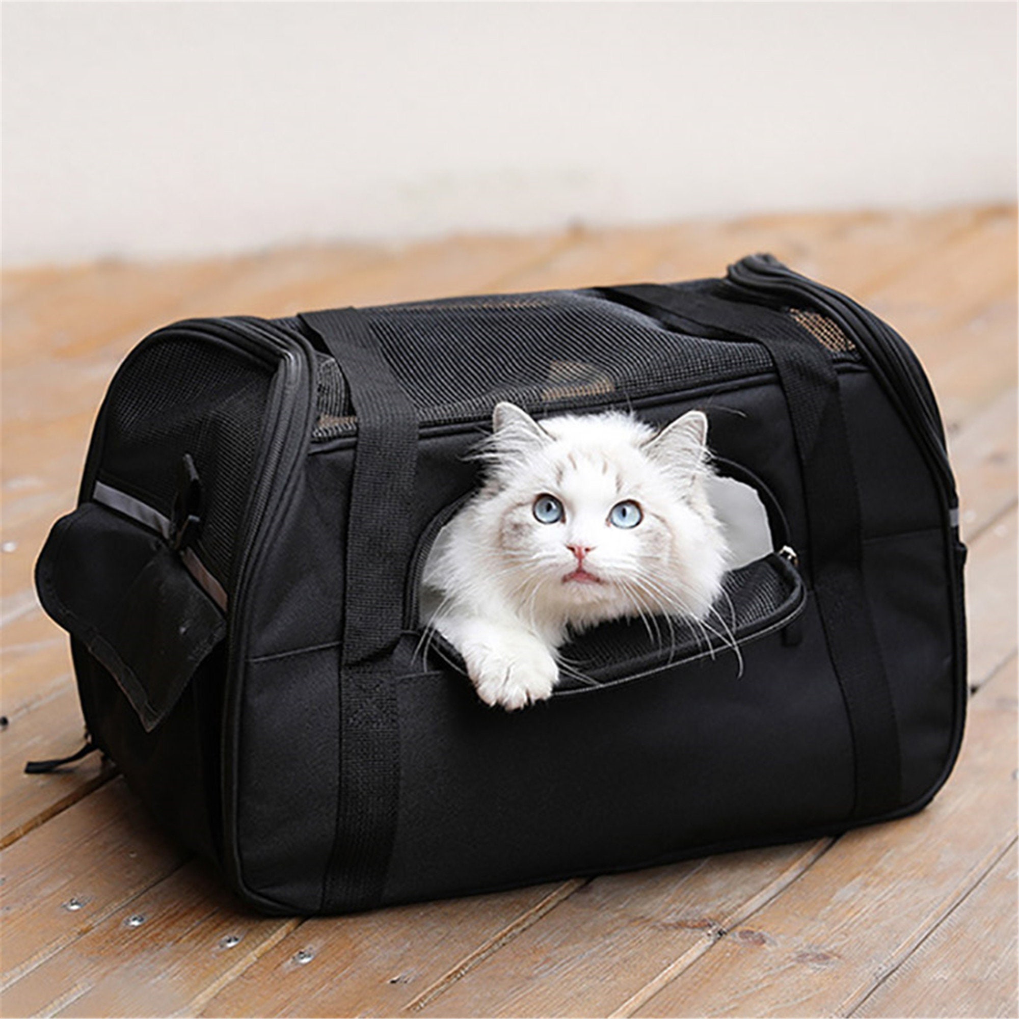 pet backpack canada