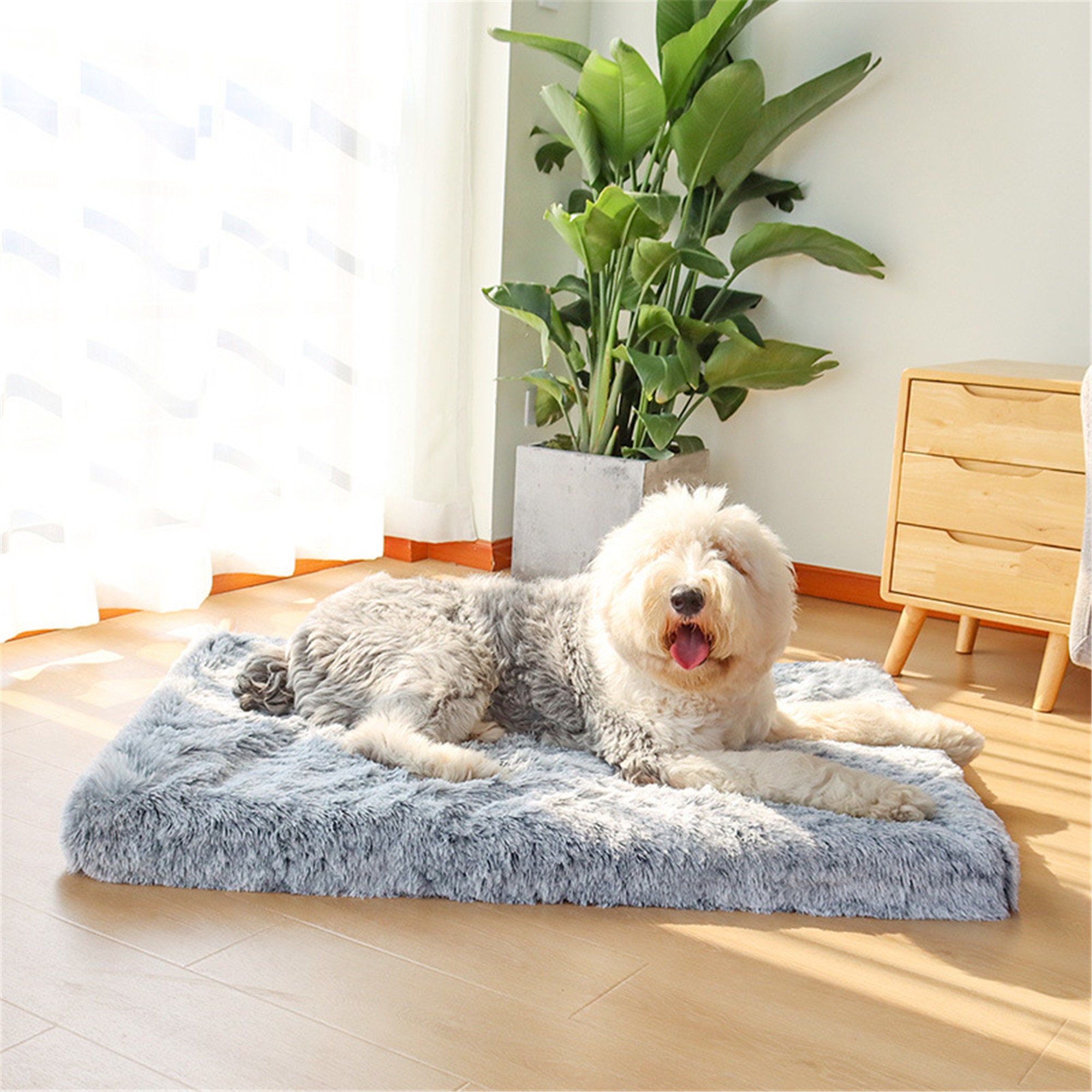 memory foam dog bed sale