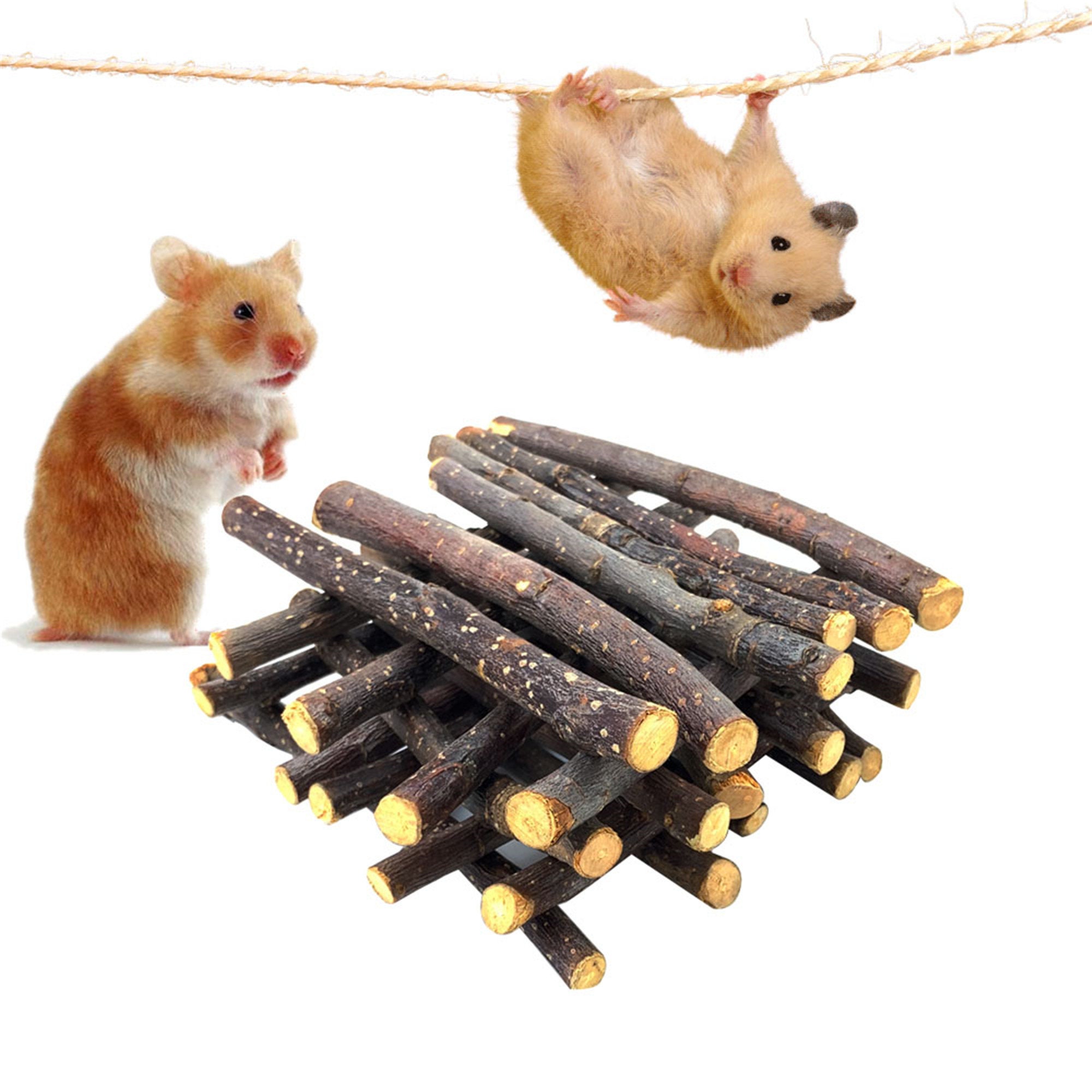 Natural Hamster Molar Apple Tree Stick For Rabbit Chinchilla Etsy
