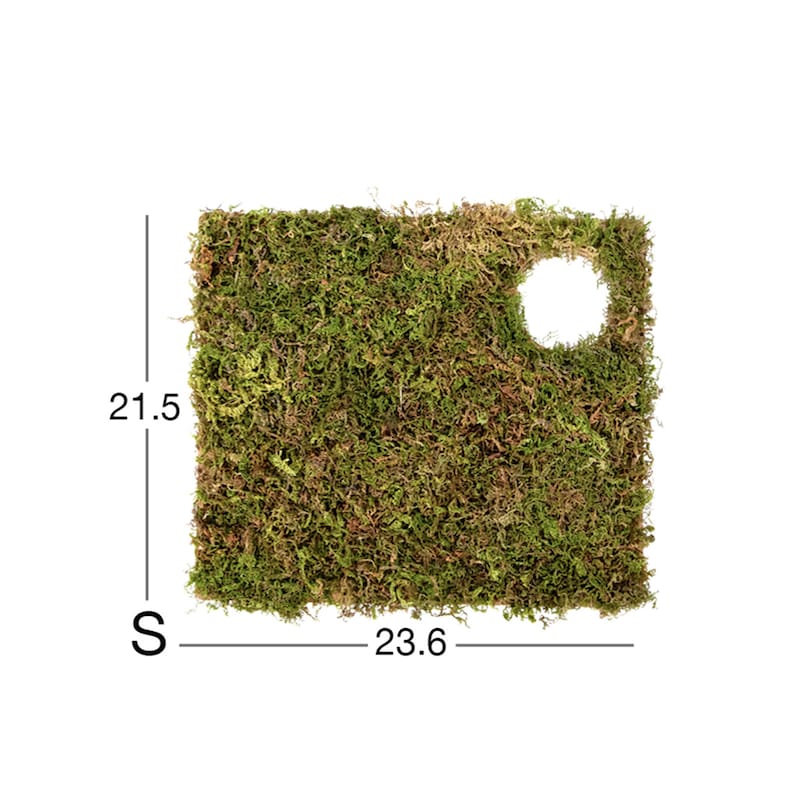 Natural Moss Mat Hamster Multiroom Moss Terrace Hamster Cage Etsy